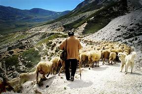 <p> seasonal movement of livestock</p>