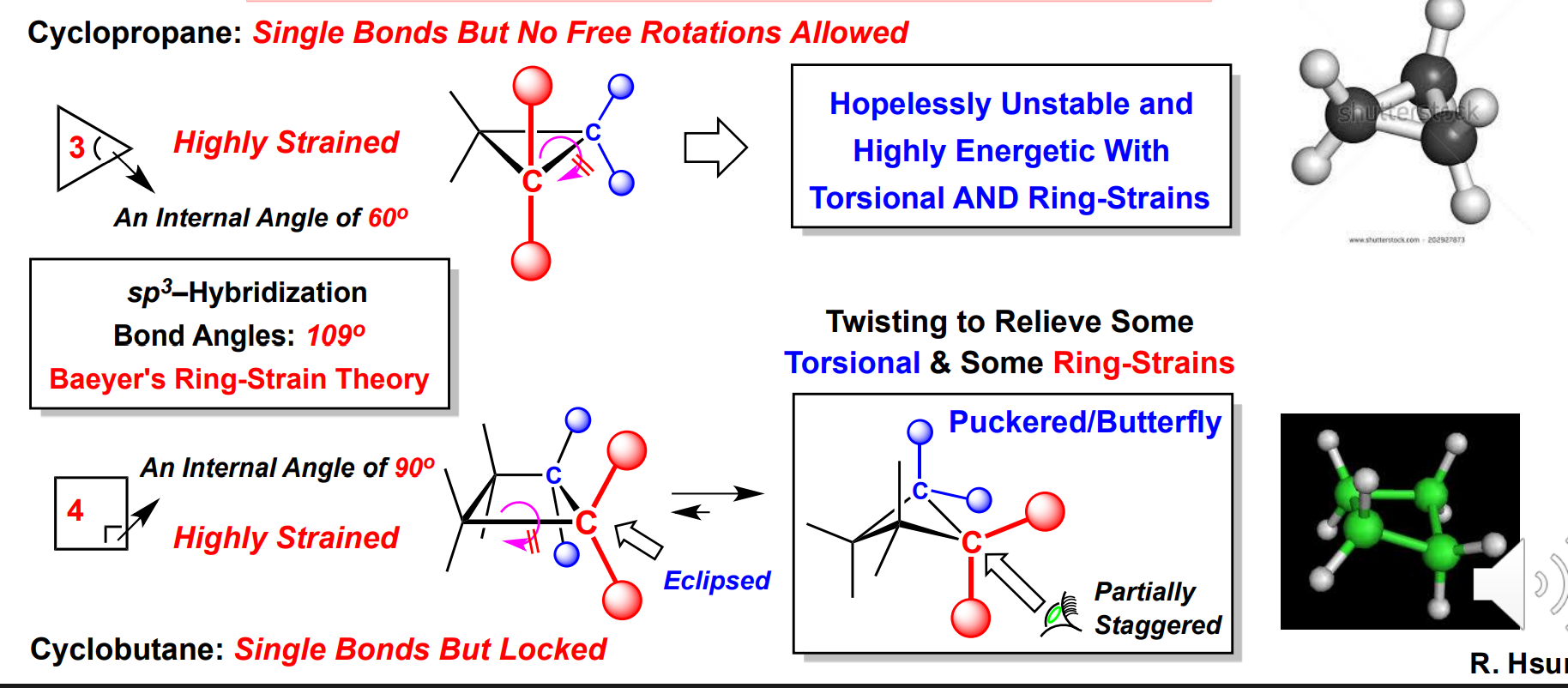 <p>Acyclic single bonds rotate to a more stable conformation <br>Ex: Cyclopropane undergoes conformational change to Cyclobutane because of it being unstable </p><p>Ex: Cyclopentane undergoes conformational change to an envelope </p><p>Ex: Cylohexane undergoes chair flip to relieve torsional strain → Best of all rings → most stable </p>