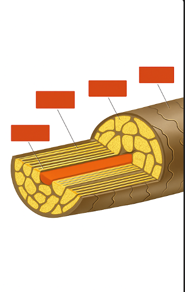 <p>Second Box</p>