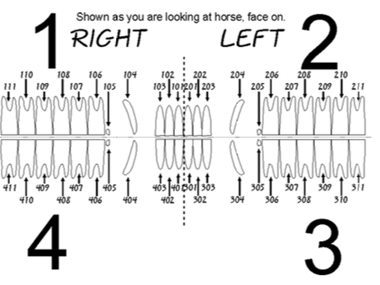 knowt flashcard image