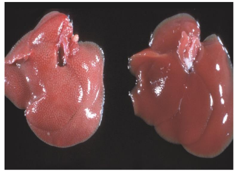 <p>What is this?</p>