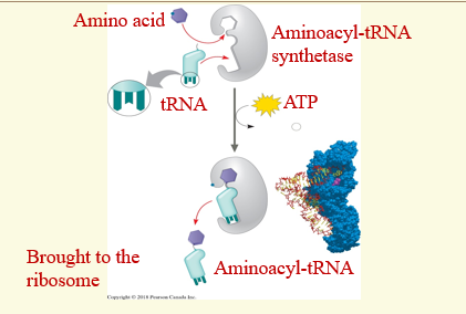 <p>CHECK HOPW IT IS IN WORDS</p>