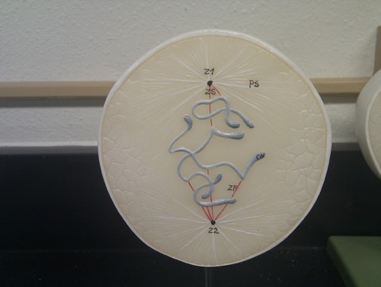 <p>condensing &amp; forming</p>