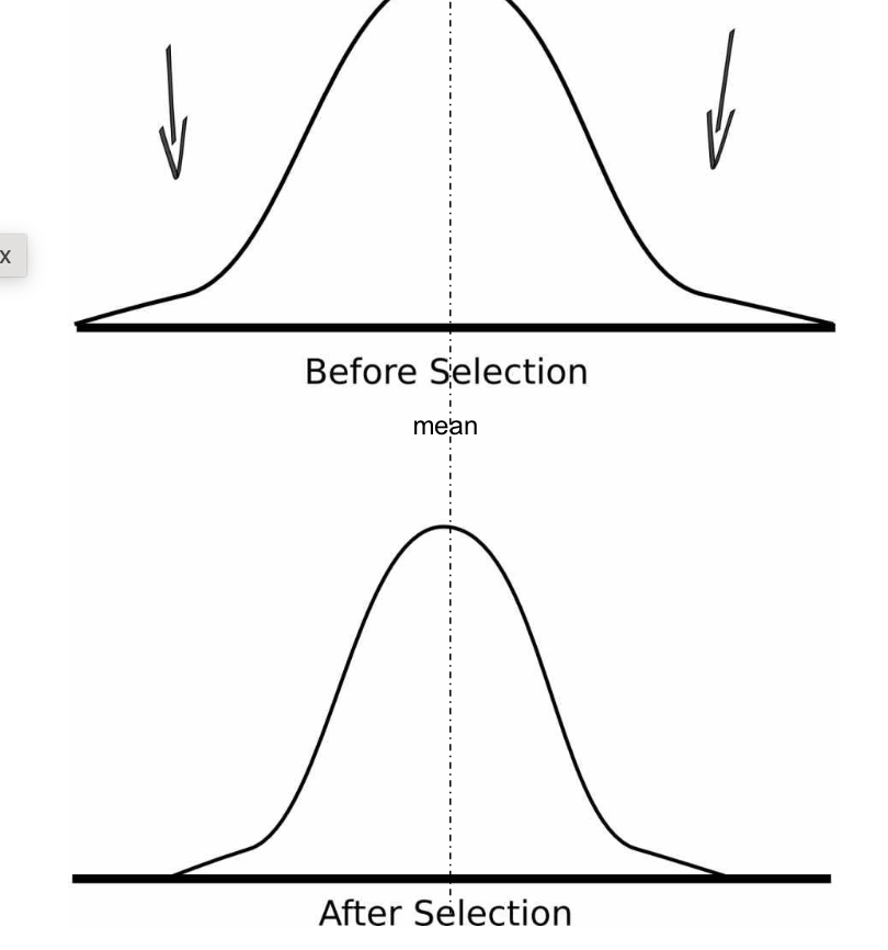 <p><span style="font-size: calc(var(--scale-factor)*24.02px)">when individuals with intermediate phenotypes </span><span style="font-size: calc(var(--scale-factor)*24.05px)">have higher survival and reproductive success than those with </span><span style="font-size: calc(var(--scale-factor)*24.02px)">extreme phenotypes.</span></p><p><span style="font-size: calc(var(--scale-factor)*24.02px)">removes harmful genetic variation, generates little evolutionary change, occurs when environment is relatively unchanging. </span></p><p><span style="font-size: calc(var(--scale-factor)*24.02px)">progeny has more narrow distribution of phenotypes than parents </span></p>