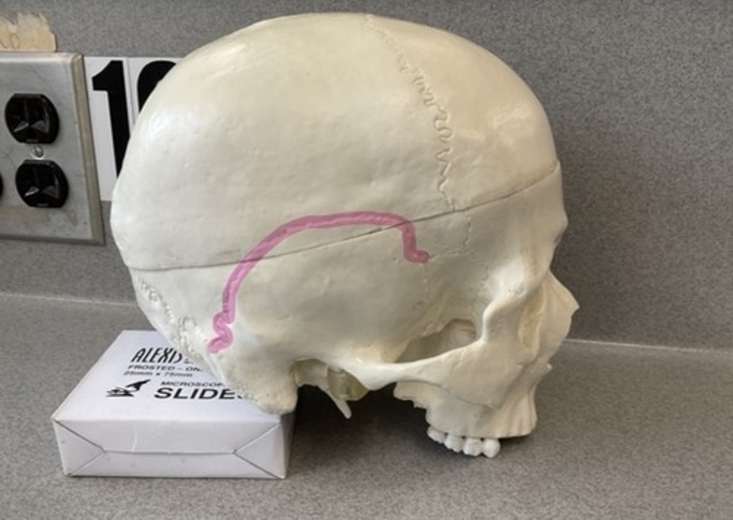 knowt flashcard image