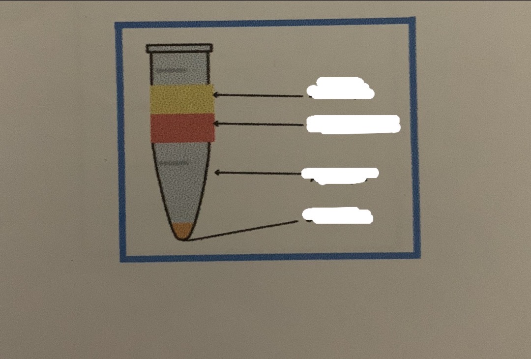 <p>Identify the layers pointed</p>