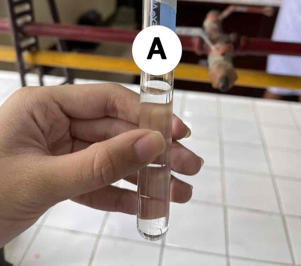 <p>how is nitrous acid produced</p>