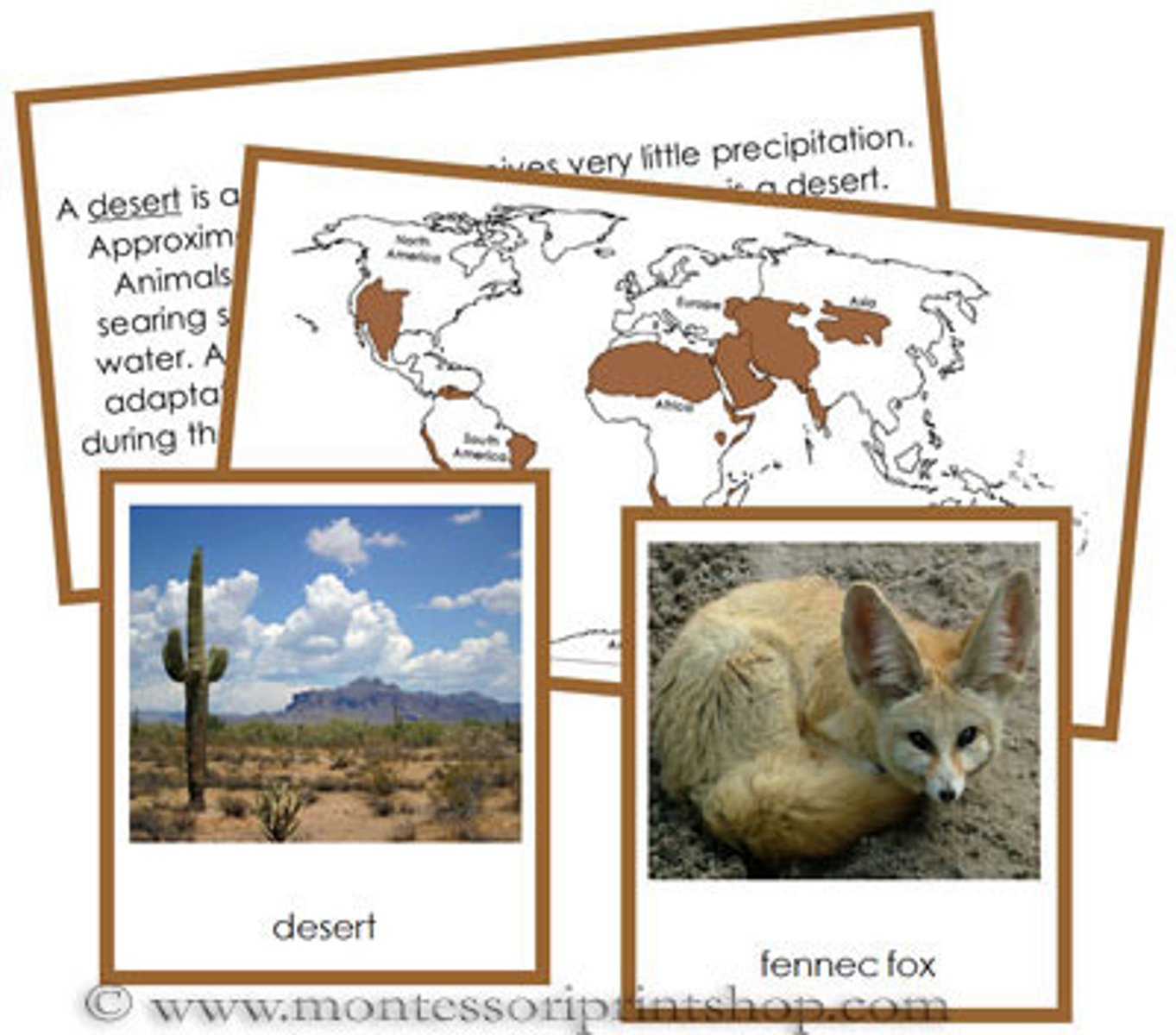 <p>the type of environment in which an organism or group normally lives or occurs</p>
