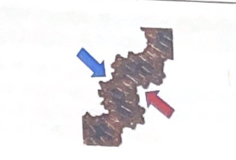 <p>the ___ arrow points to the major DNA groove whereas the __ arrow points to the minor groove</p>