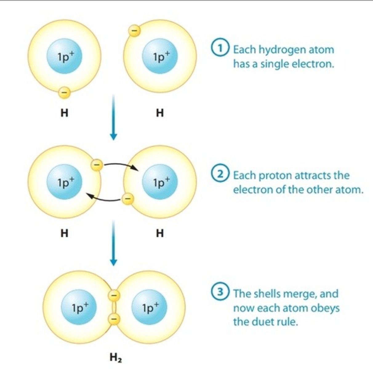 <p>Chemical bond in which two atoms share electrons, thereby completing their valence shells</p>