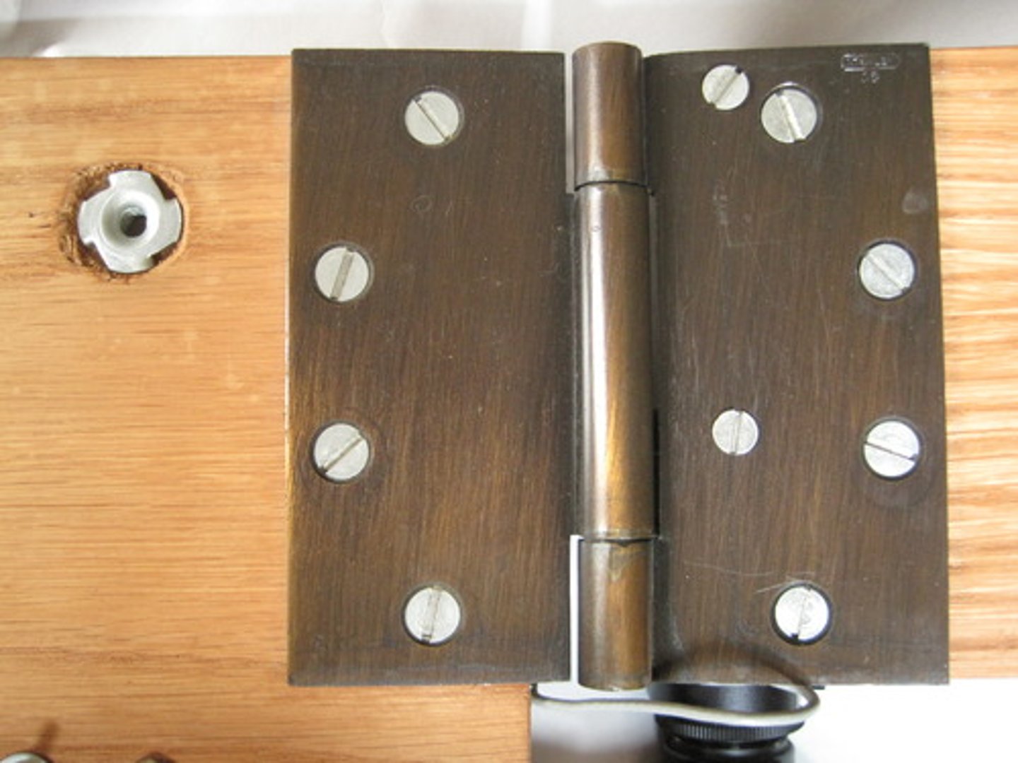 <p>hinge for narrow fencing</p>