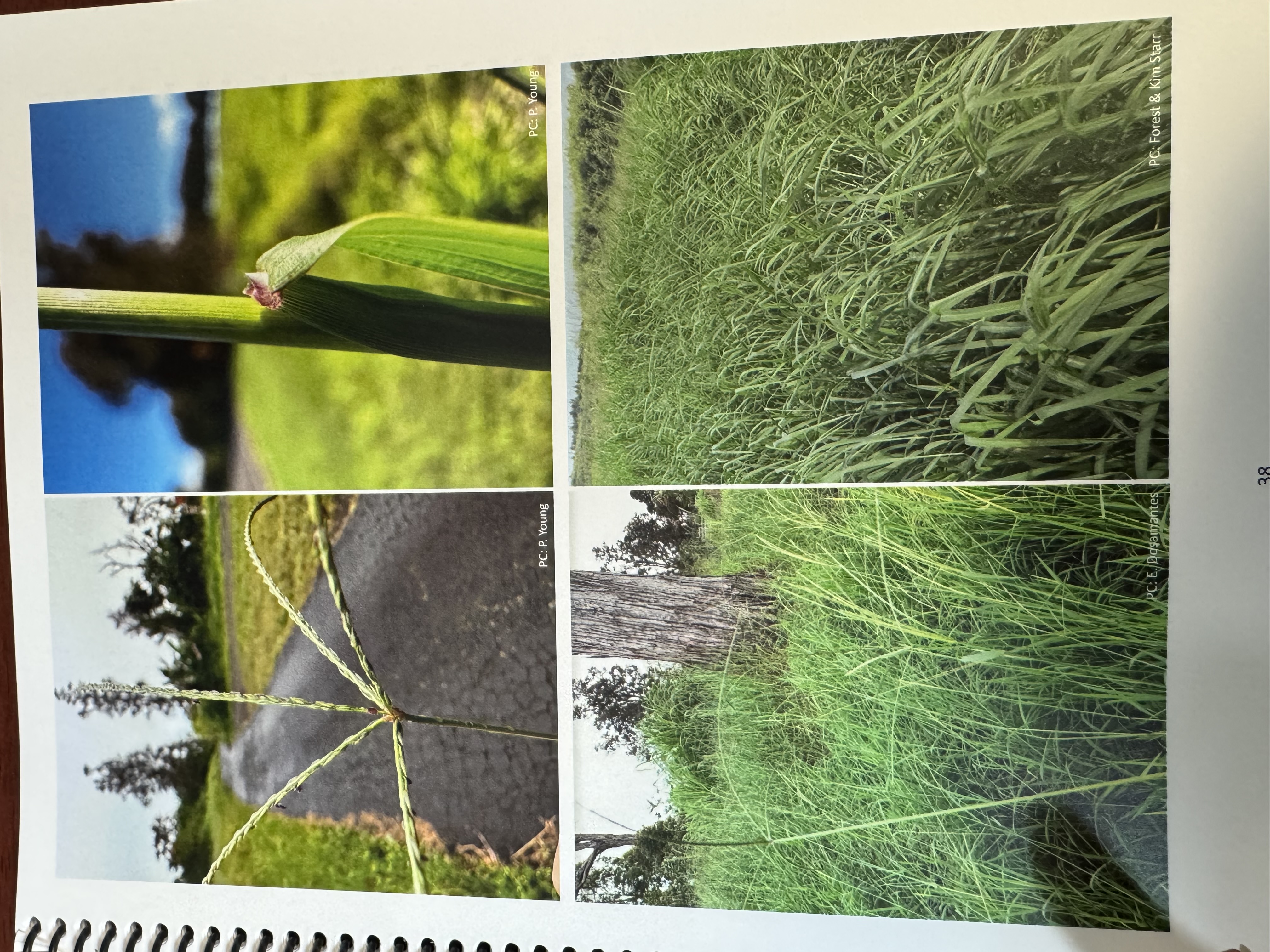 <img src="blob:null/086f1df2-fd8a-4fe1-a912-89d590a391a7"><p></p>