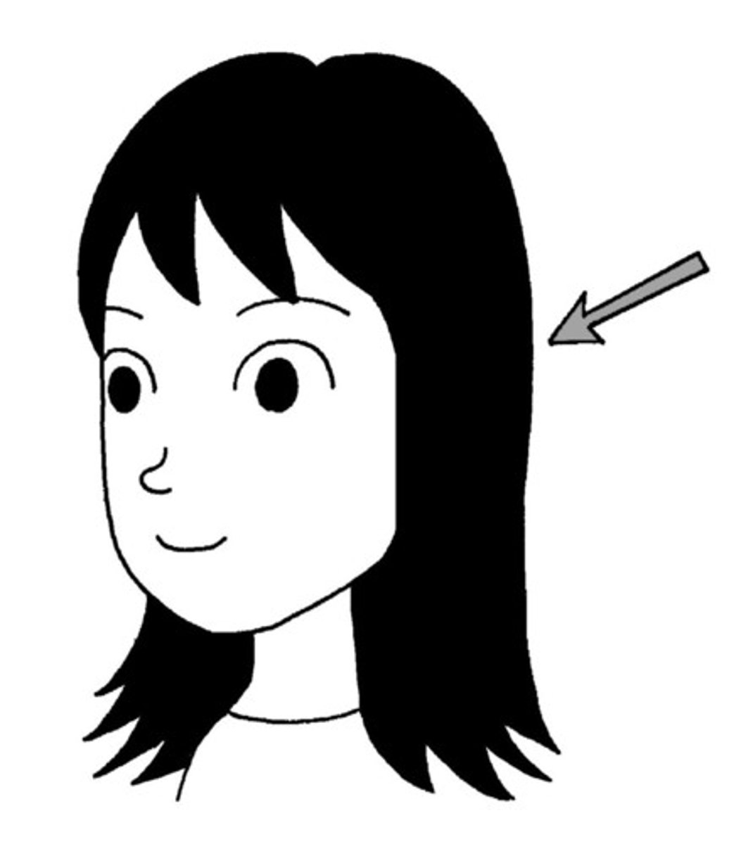 <p>hair</p>
