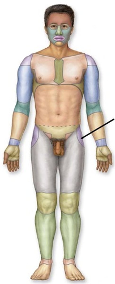 knowt flashcard image