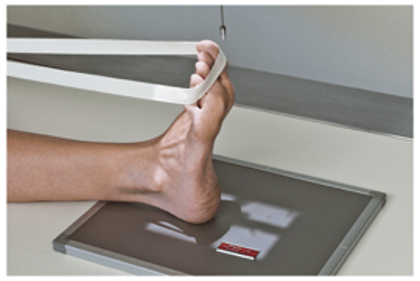 <p>What projection is this?</p>