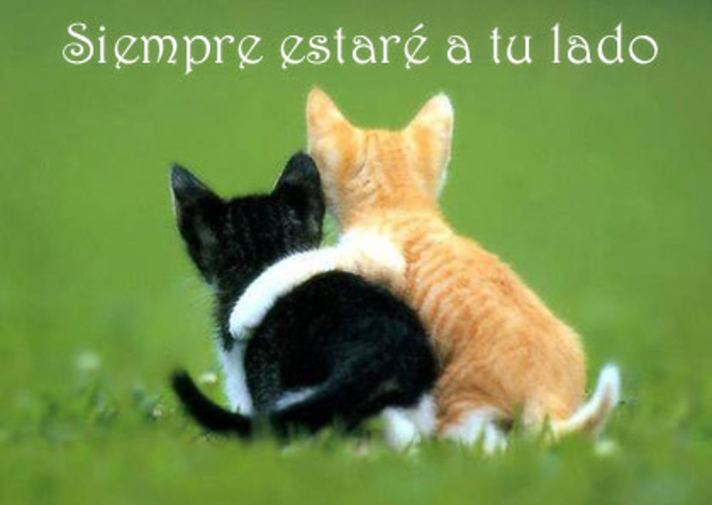 <p>always</p>