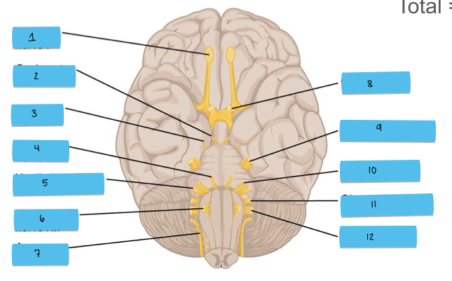 <p>What is 1 pointing to?</p>