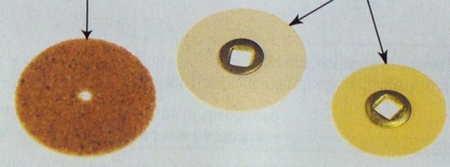 <p>its sandpaper disks</p>