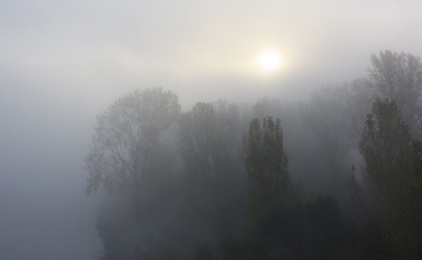 <p>(adj.) cloudlike, resembling a cloud; cloudy in color, not transparent; vague, confused, indistinct</p><p>synonyms: hazy, fuzzy, cloudy, vague, murky, opaque, indeterminate</p><p>antonyms: definite, distinct, clear, sharply focused</p>