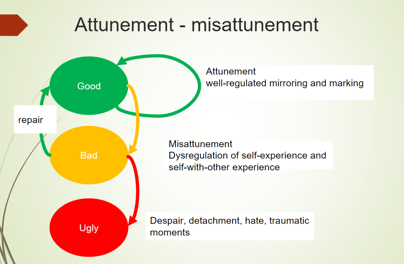 <p>Cycle of attunement</p>