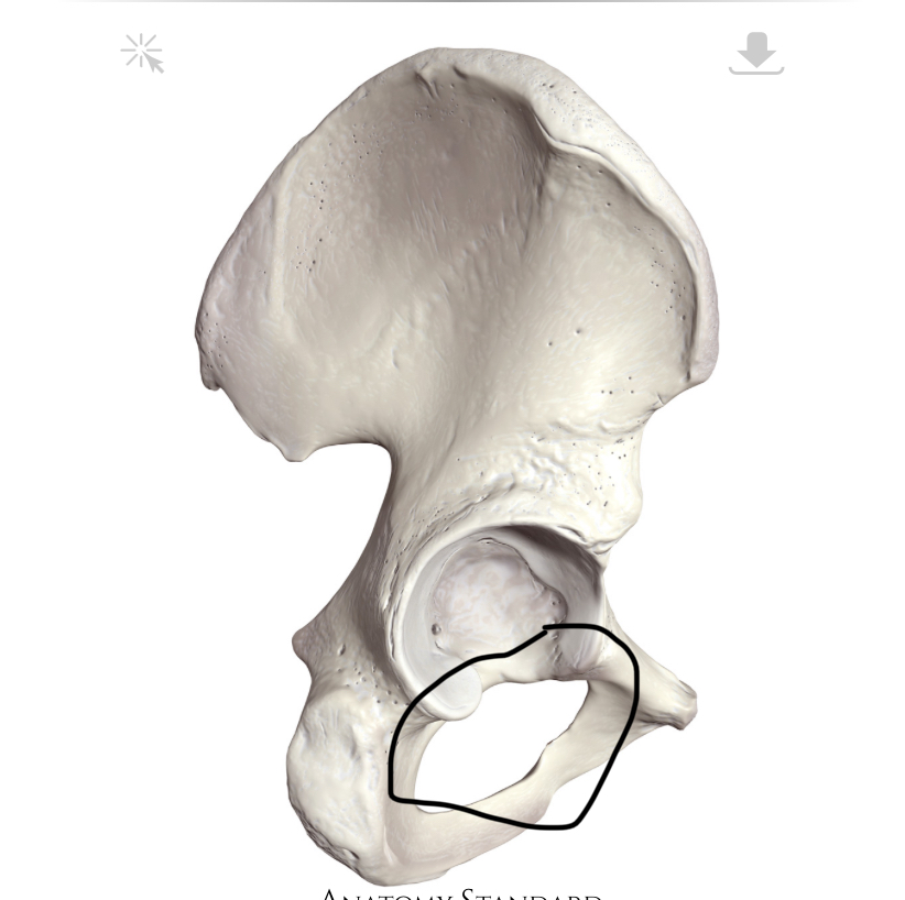 <p>Hoe heet dit gat?</p>
