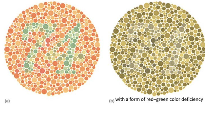 <p>Ishihara Plates</p>