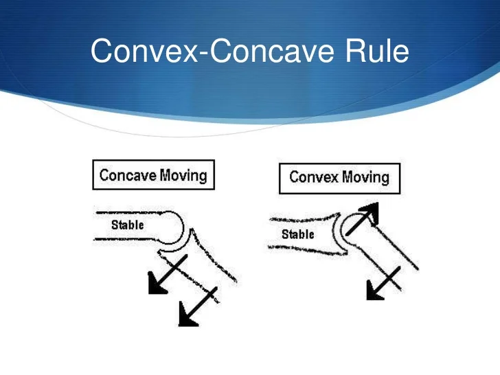 <p>convex, concave</p>
