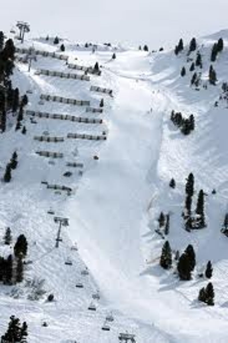 <p>the ski slope</p>