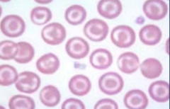 <p>What does this show?</p>