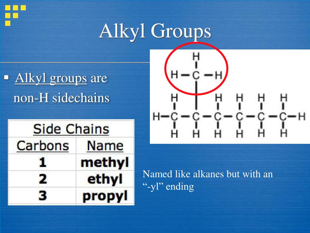<p>An alkane missing 1 hydrogen; this allows a substituent to attach </p>