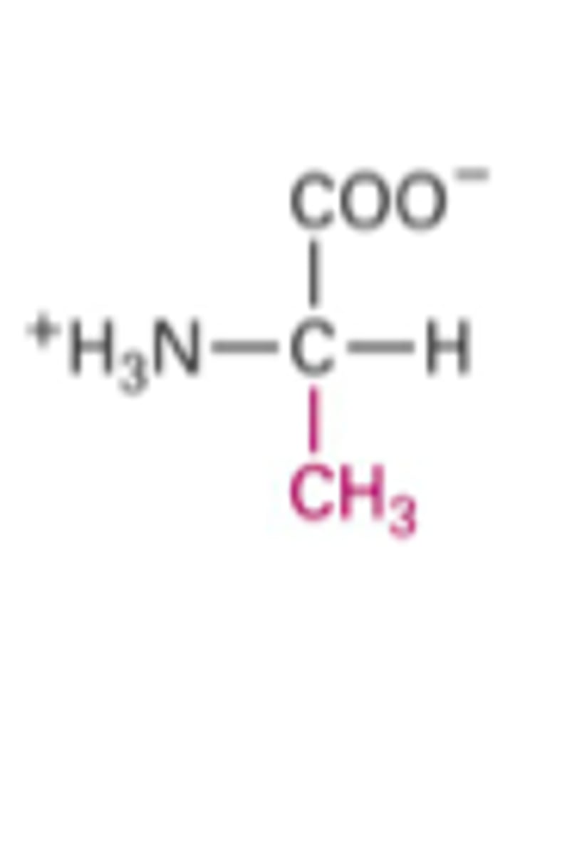 <p>What Structure is this?</p>