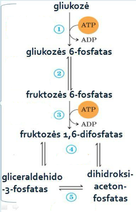 <p>1</p>