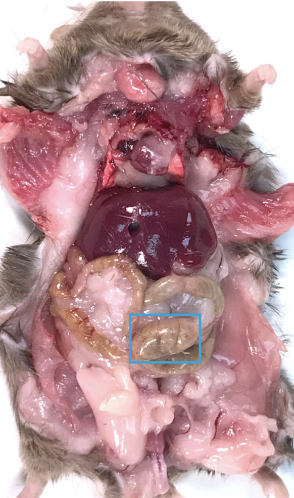 <p>What is this?</p>