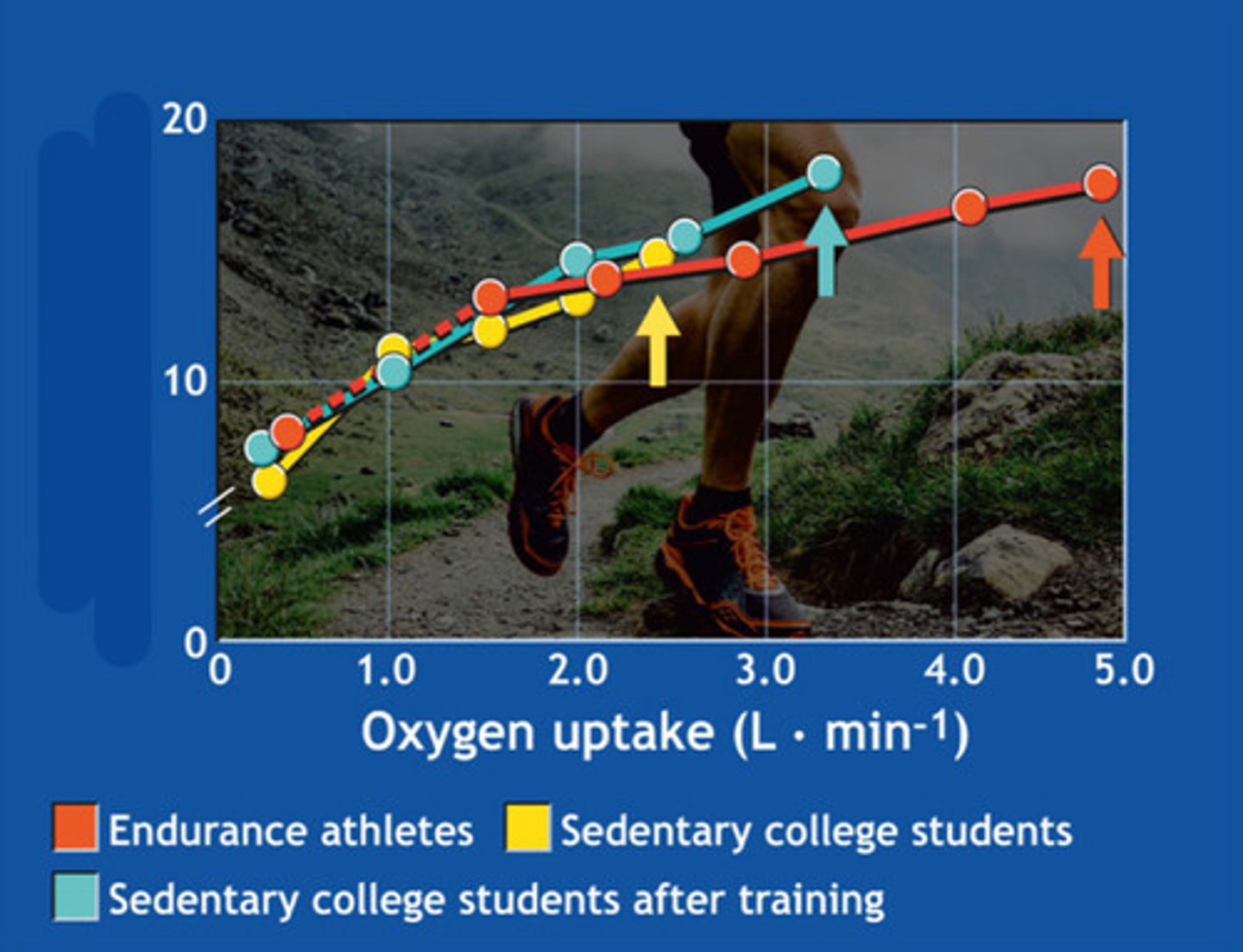 <p>what is this graph showing</p>