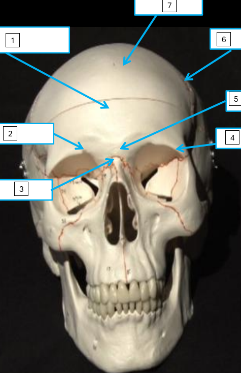 <p>1 + what is it?</p>