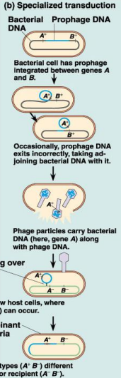 <p>explica esta imagen</p>