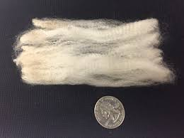 <p>What is this?</p>