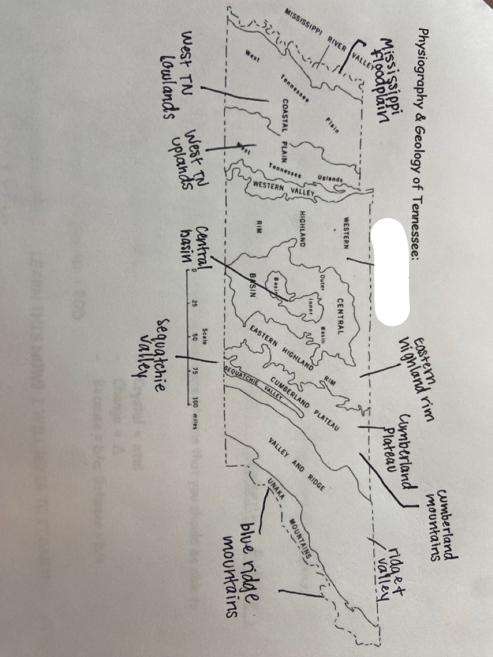 which one is marked out?