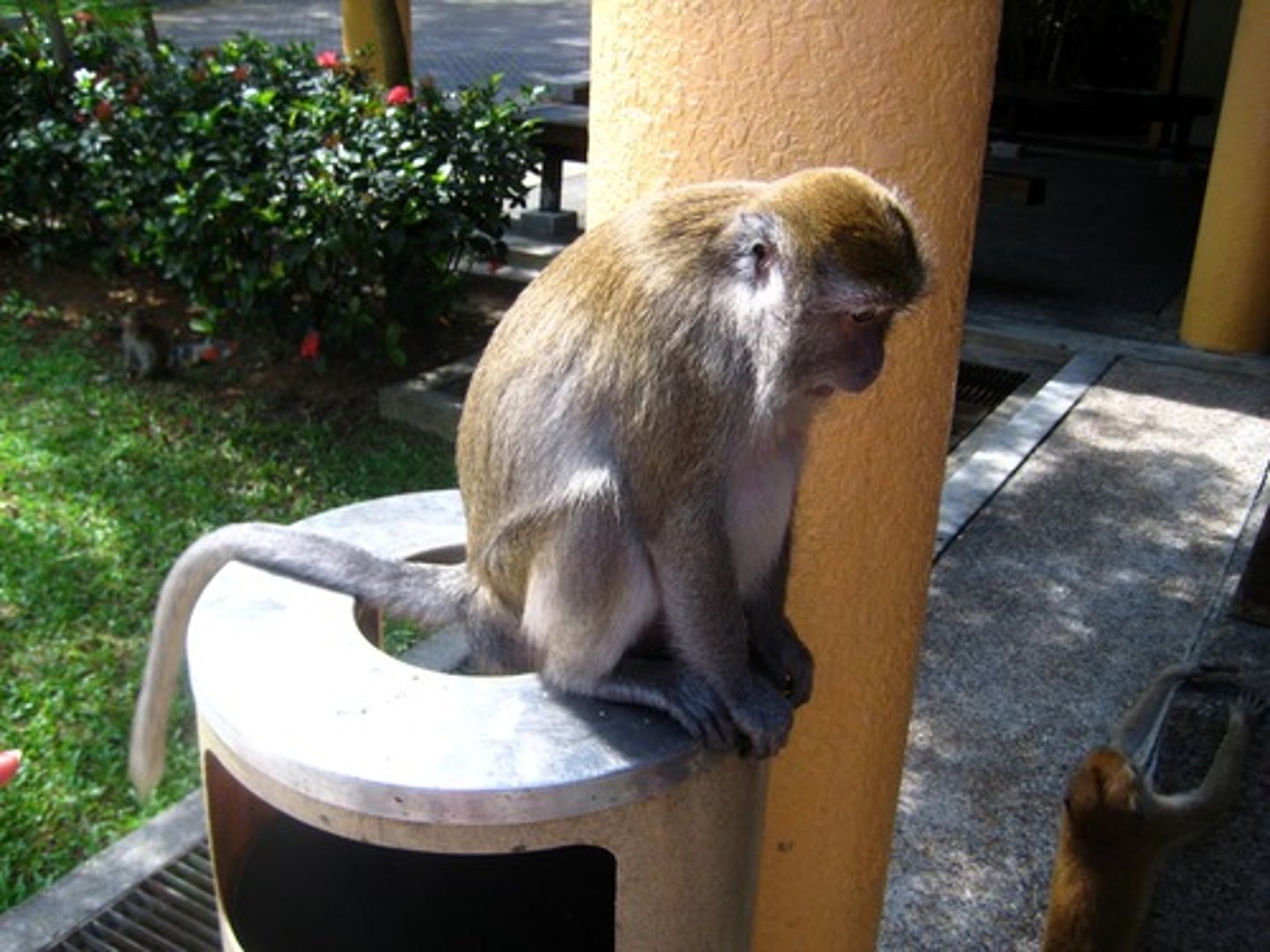 <p>feeling regret for having committed some wrongdoing</p>