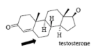 <p>Name Enzyme&nbsp;</p>