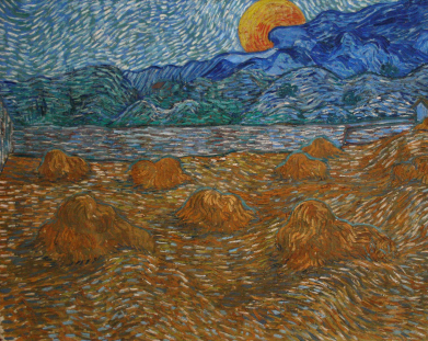 term image
