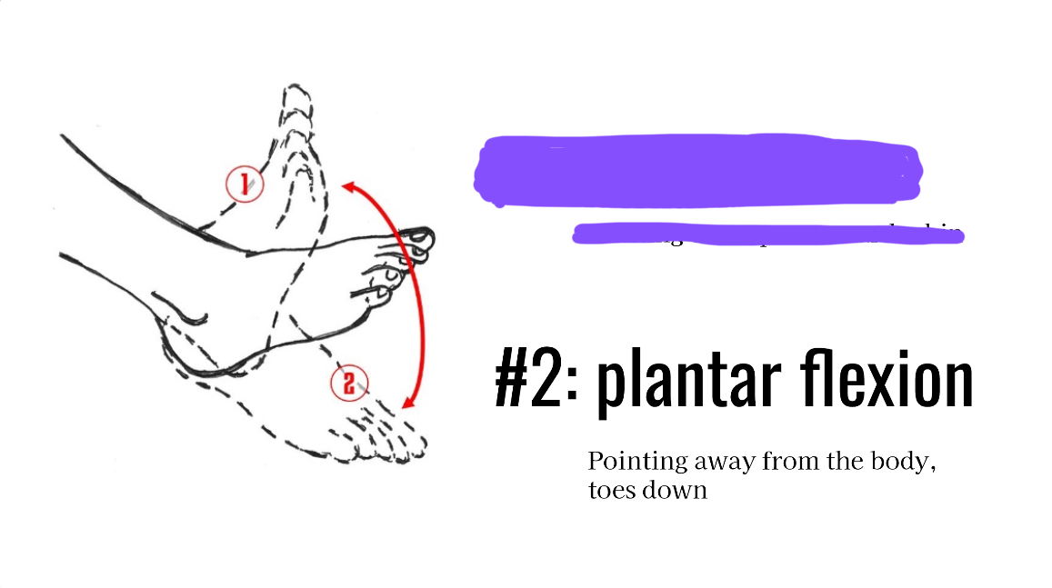 <p>Pointing toes downwards</p>