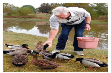 <p>be feeding</p>