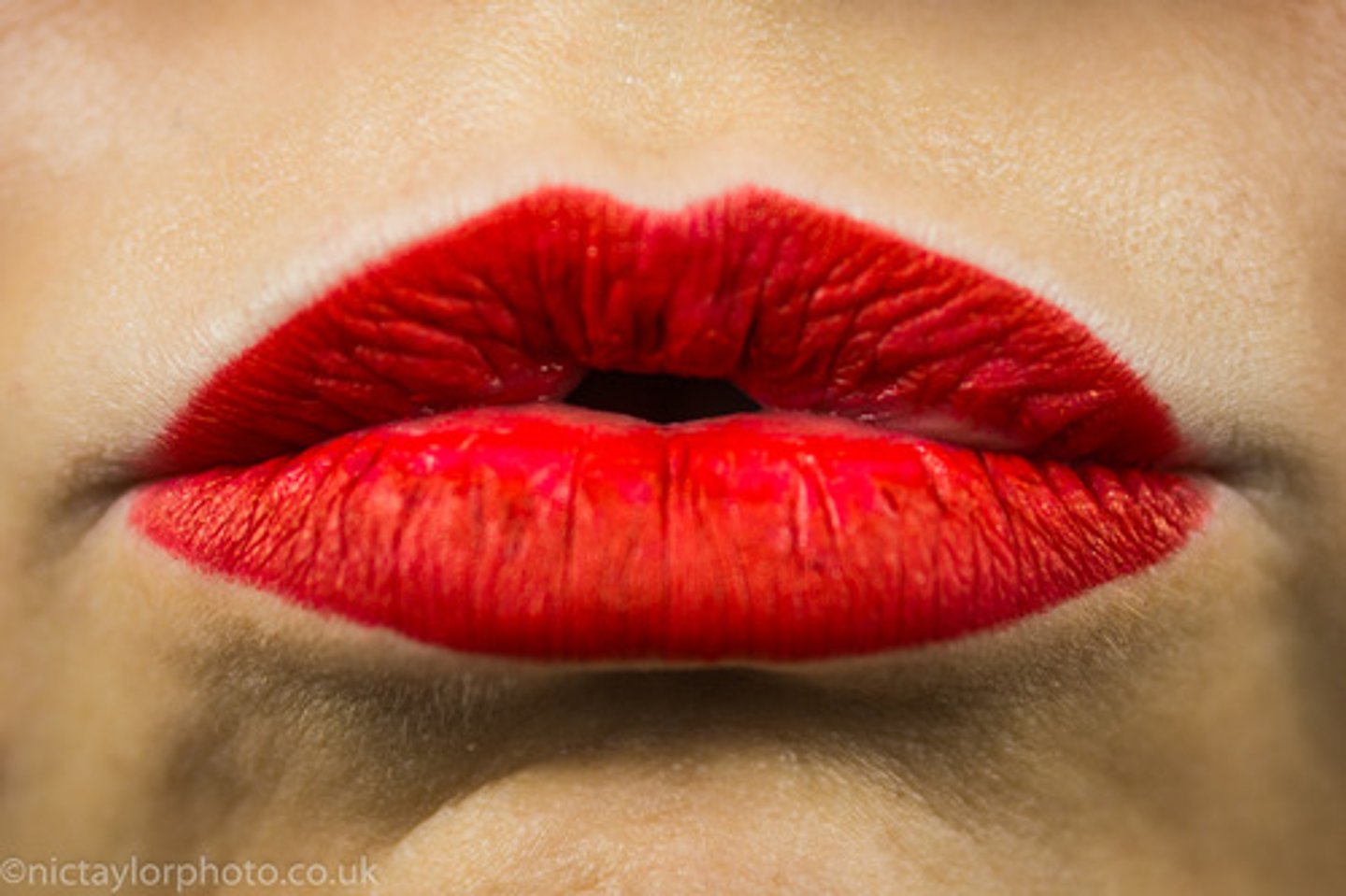 <p>lip / Môi (Cái)</p>