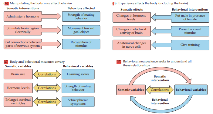 Examples of 3 main approaches to studying neuroscience of behavior