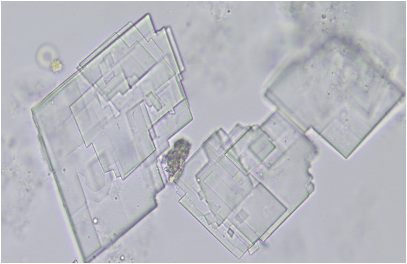 <p>notched plates</p>