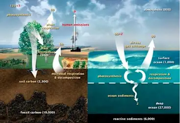 <p><span>Reactive sediments deep in the oceans are circulated and brought to the surface when deep, cold ocean water rises to the surface. In this instance, the water warms and some of the dissolved CO2 from these sediments is released back to the atmosphere. What is this process called?</span></p>