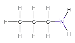 <p>identify the functional group</p>