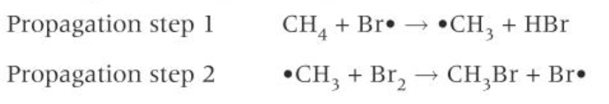 <ul><li><p>the reaction propagates through two propagation stages, a chain reaction</p></li><li><p>In the first propagation step, a bromine molecule reacts with a C-H bond in the methane, forming a methyl radical and a molecule of hydrogen bromine</p></li><li><p>in the second propagation stage, each methyl radical reacts with another bromine molecule, forming the organic product bromomethane and another bromine radical</p></li><li><p>The new bromine radical then starts this process over again</p></li></ul><p></p>