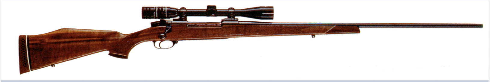 <p>what kind of gun is this</p>